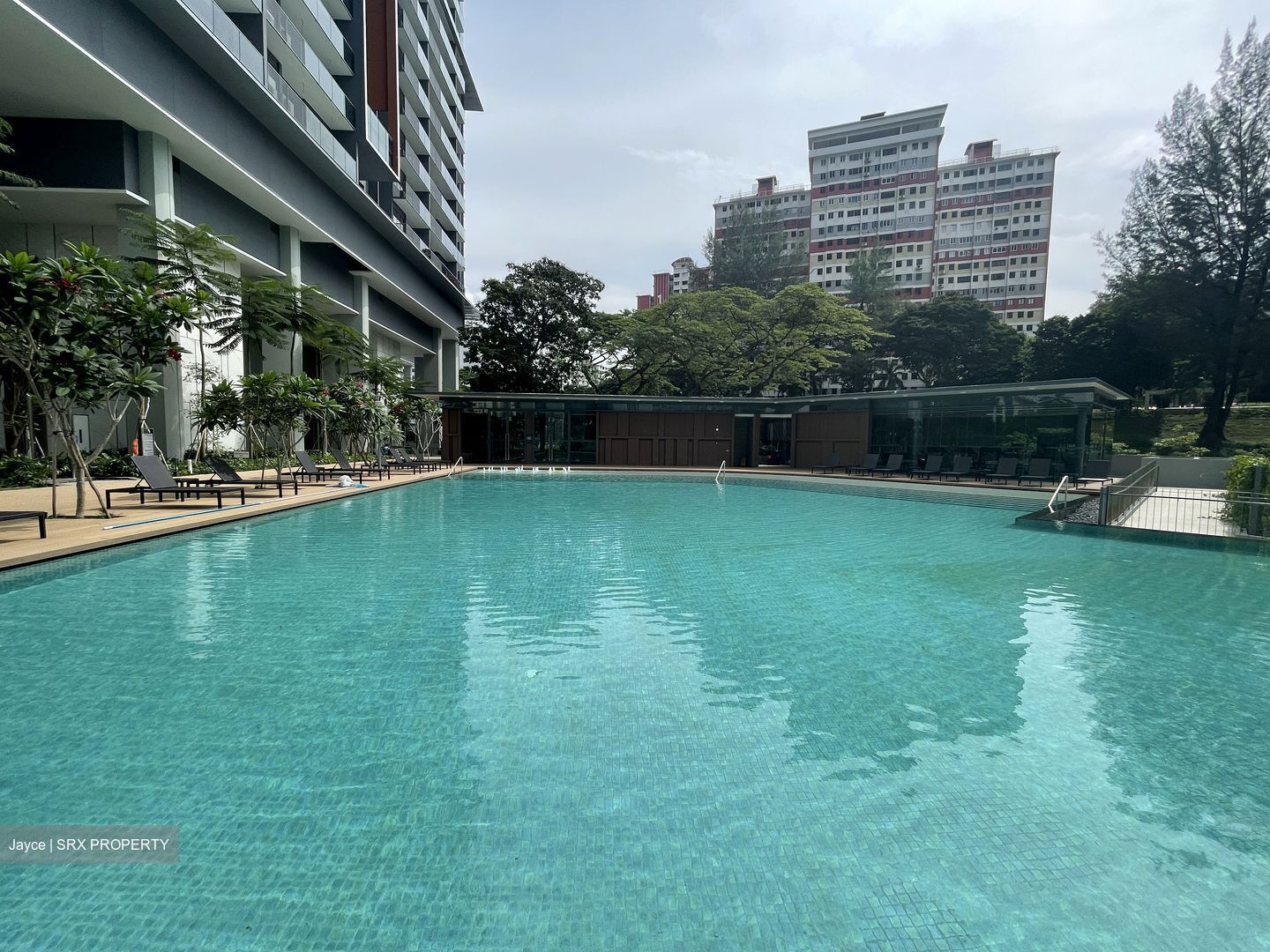 Stirling Residences (D3), Apartment #554319241